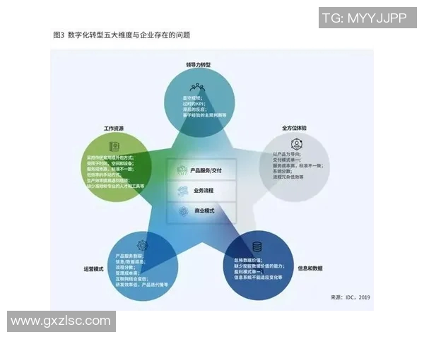 西安滑板队的转型之路与创新实践探讨